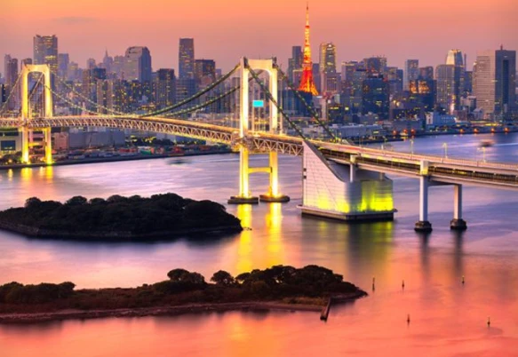 Sea of Japan & Cherry Blossoms